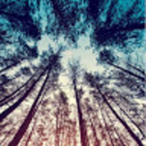 Meet your Posher, Lexi